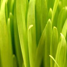 黑客软件攻击器手机版