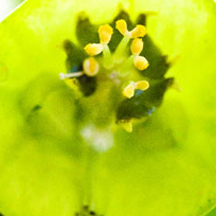 高级会员开通的DDOS网页端源码